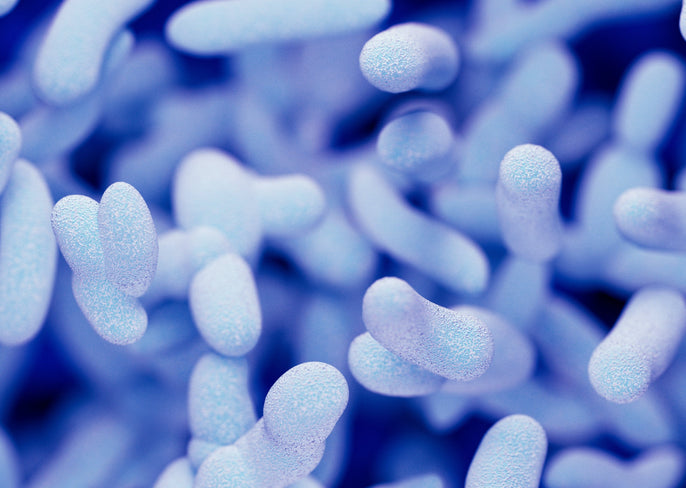 4 Unexpected Things Your Gut Microbiome Can Do