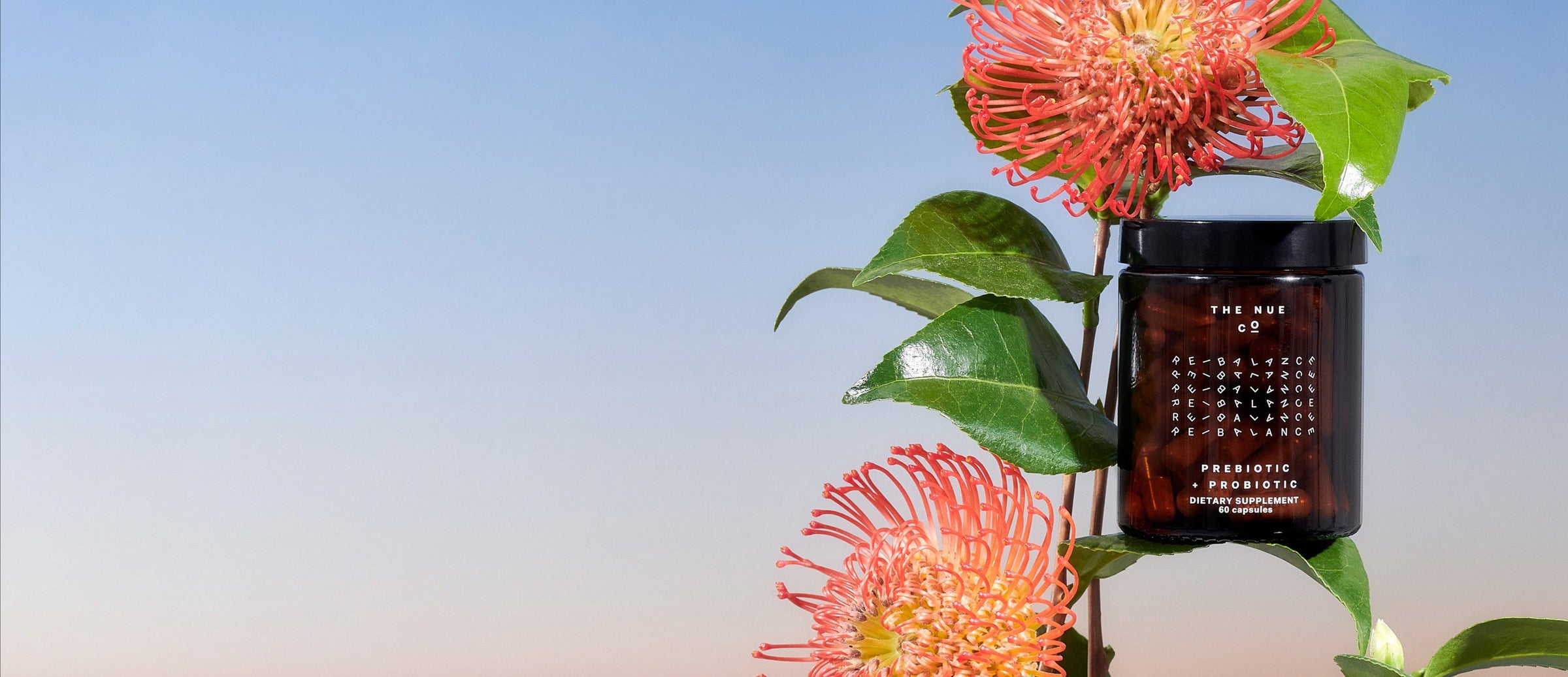 What Can PREBIOTIC + PROBIOTIC Do in 24 Hours?