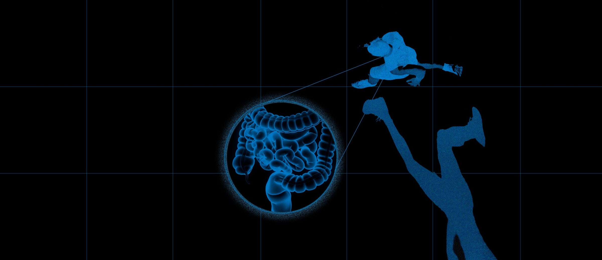 Does Gut Health Affect Performance?