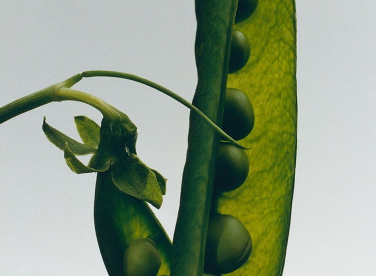 Does Food Really Have an Impact on Hair + Skin?