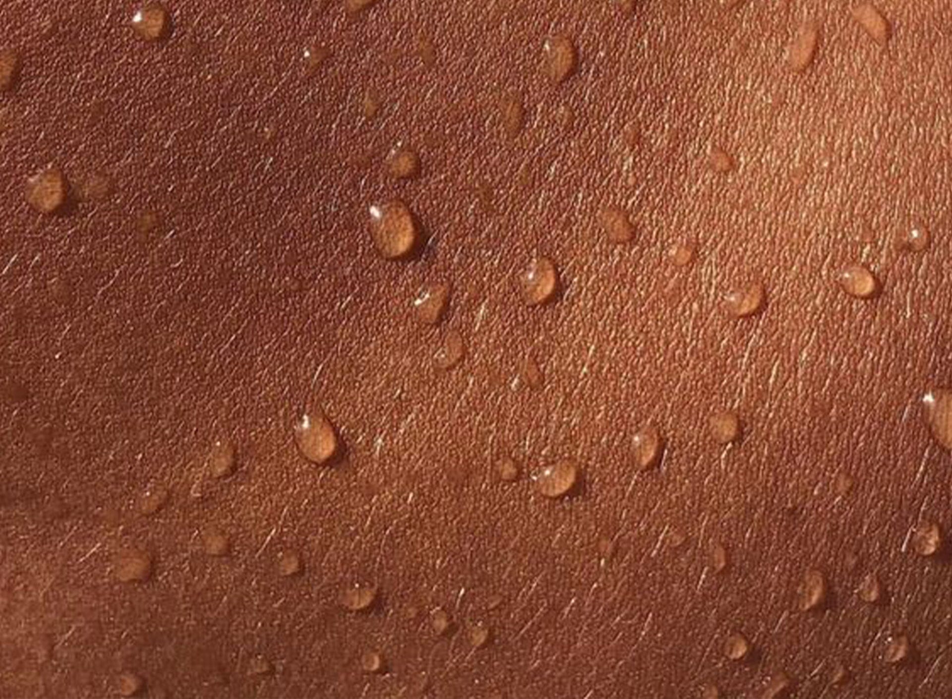 The landscape of skin