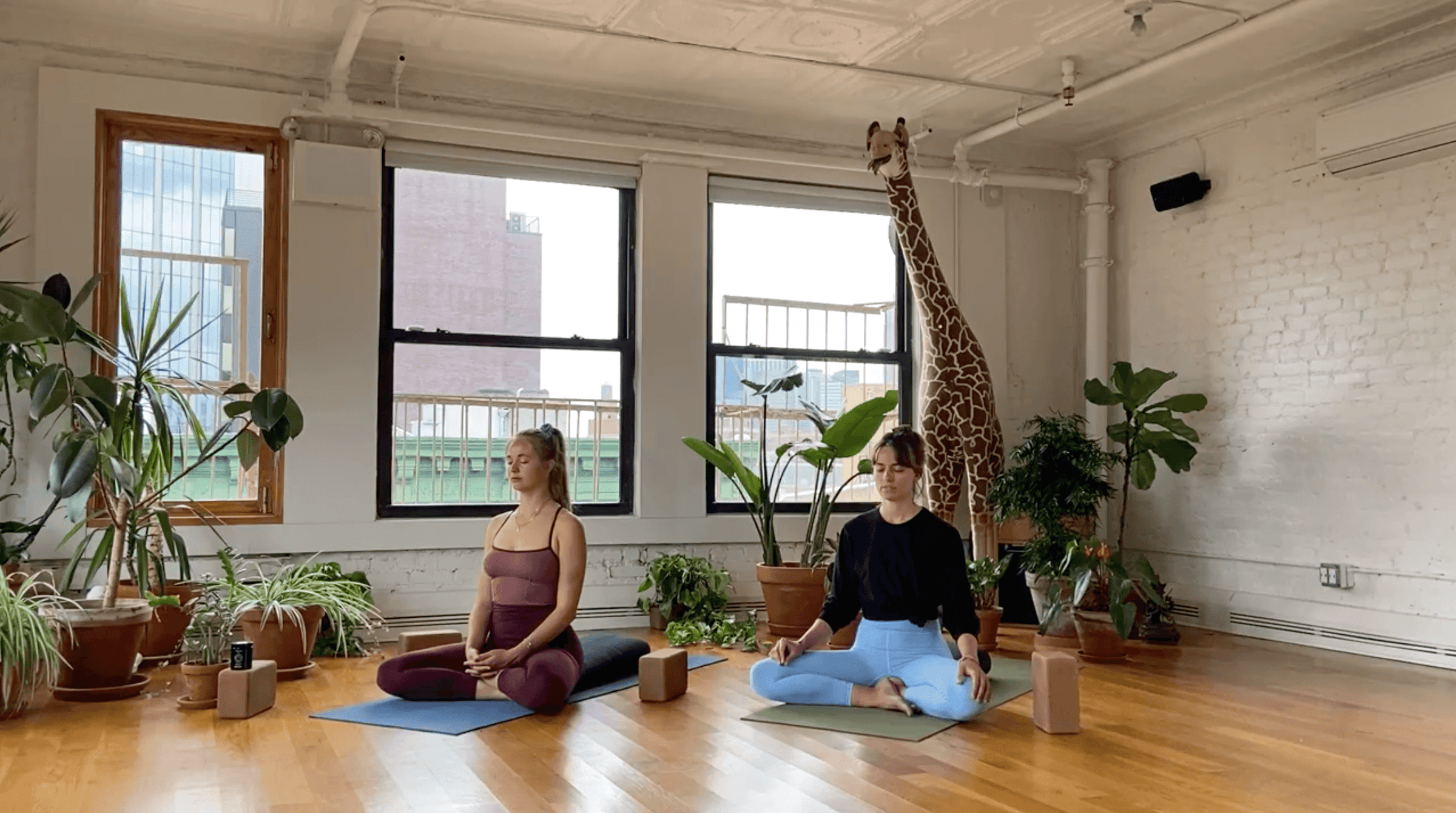 Yoga Is For... Mind Fog