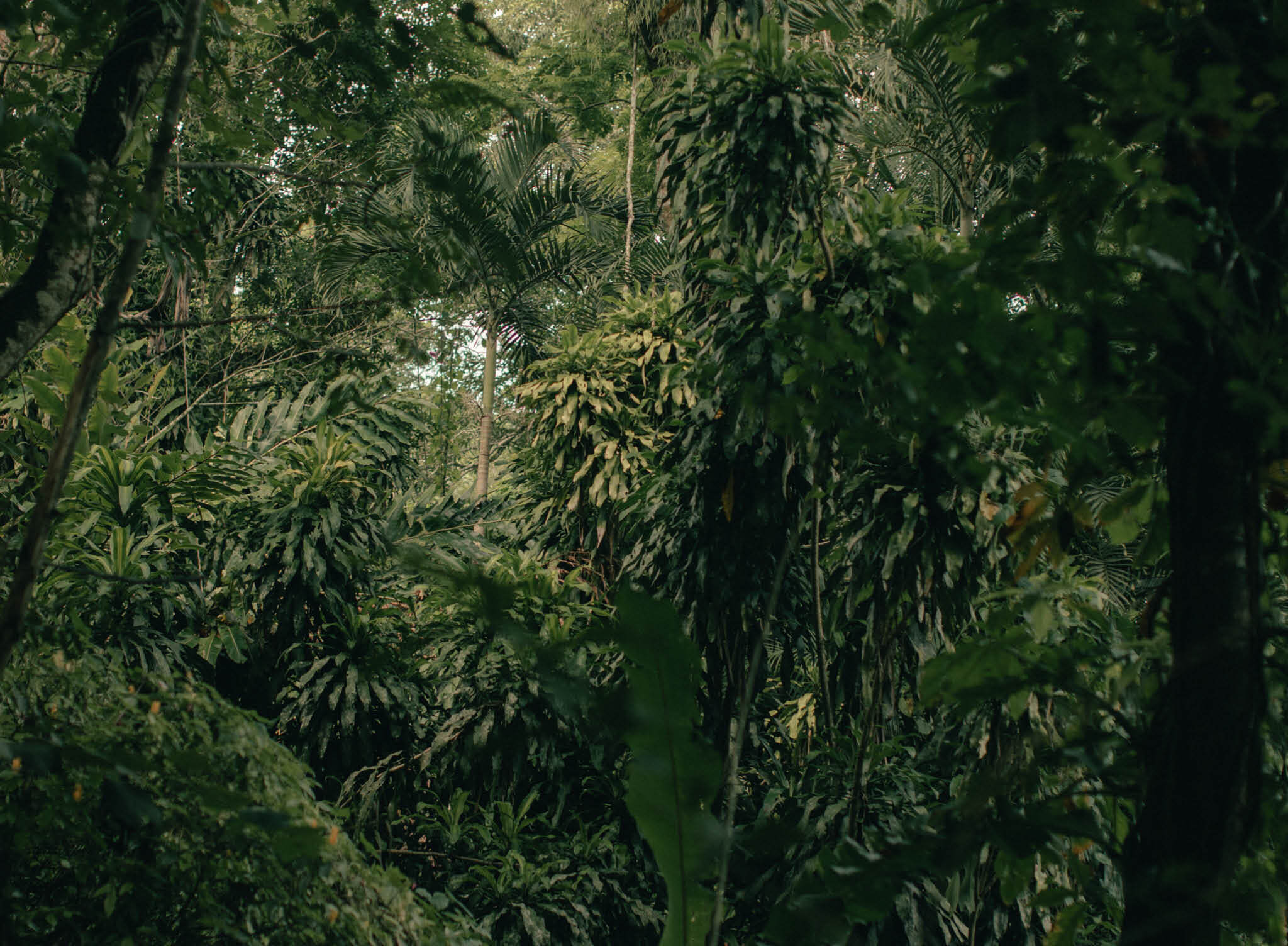 Turning sawdust into scent