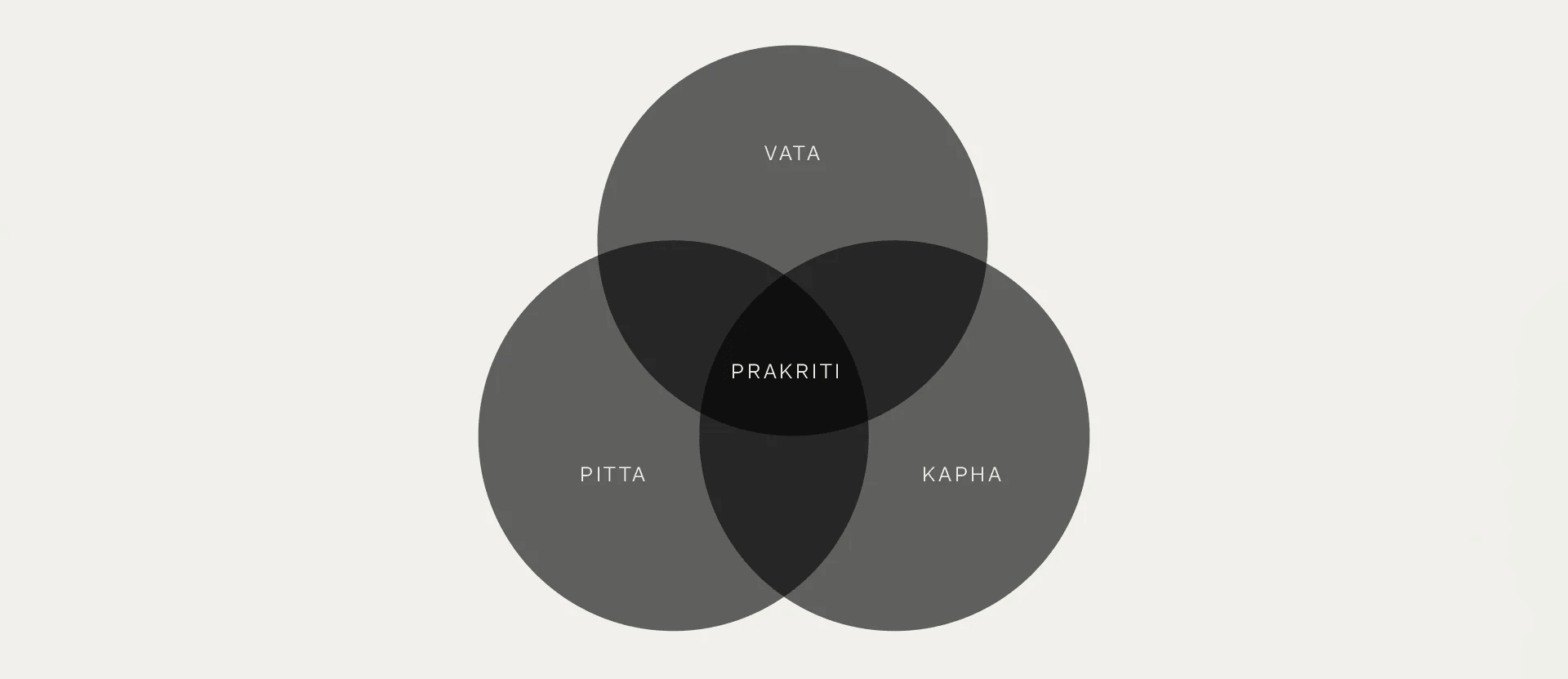 Ayurveda 101: A Beginner's Guide