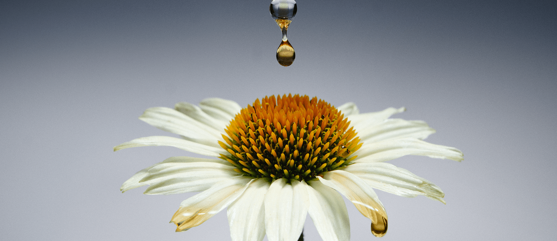 How to boost your immune system naturally