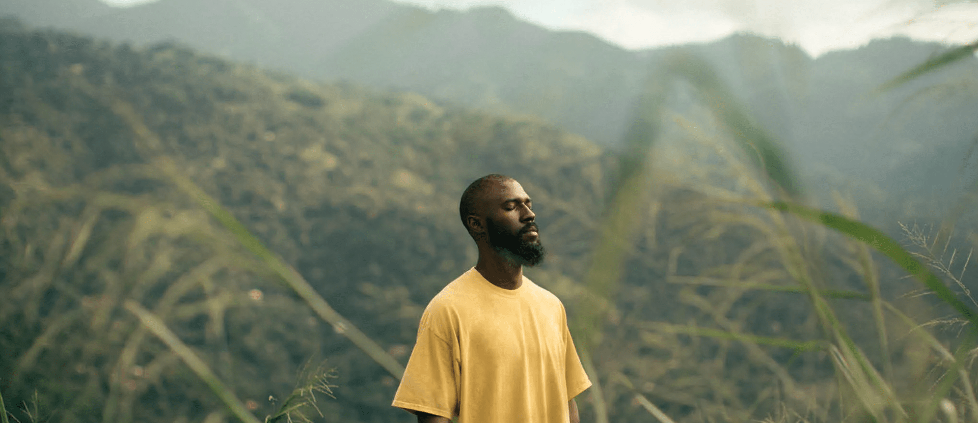 Responsibly sourcing “green gold”