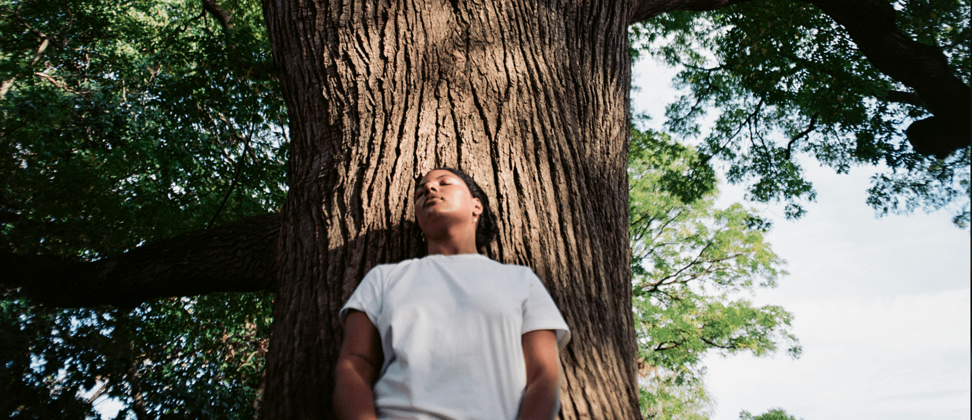 The science behind the calming effect of forests