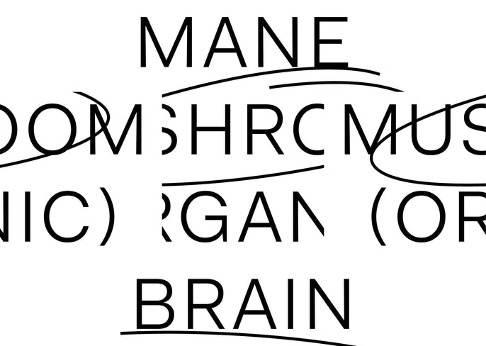 Ingredient Spotlight – Nootro-Focus