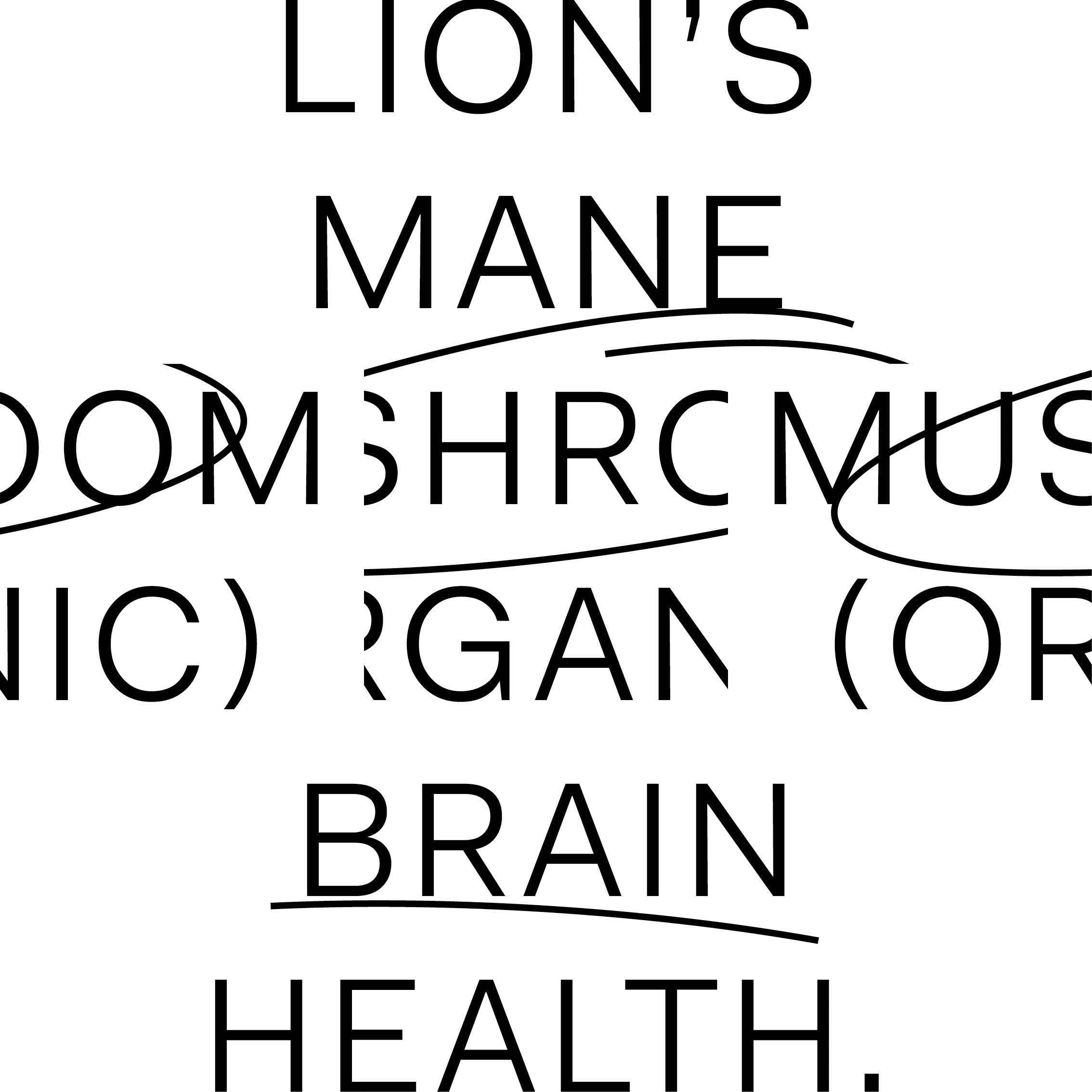 Ingredient Spotlight – Nootro-Focus