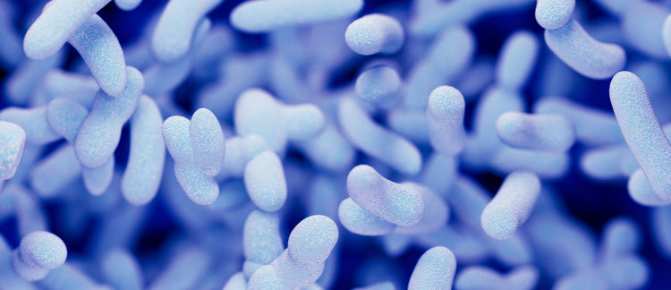 4 Unexpected Things Your Gut Microbiome Can Do
