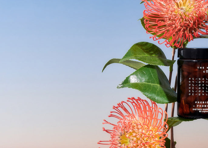 What Can PREBIOTIC + PROBIOTIC Do in 24 Hours?