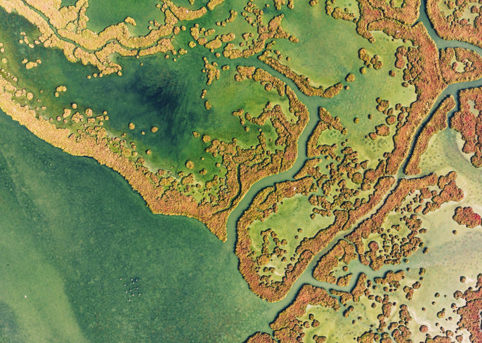 My Formula: Dr. Tiffany Lester on environment and skin