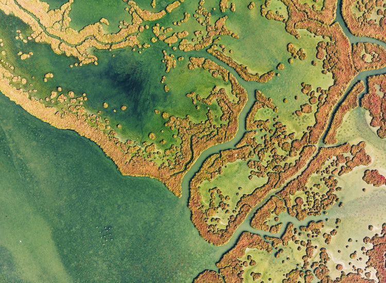 My Formula: Dr. Tiffany Lester on environment and skin