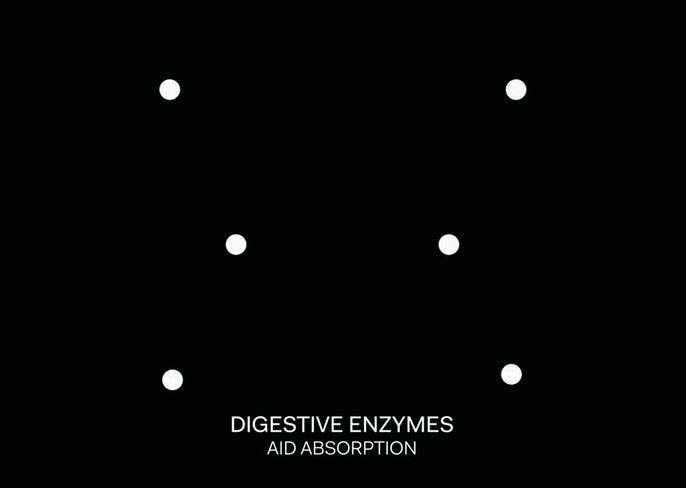 What are digestive enzymes?