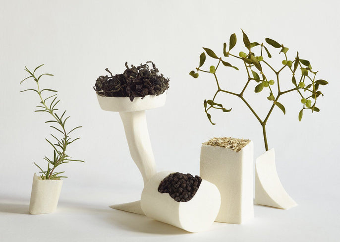 5 Waste-Free Holiday Ideas