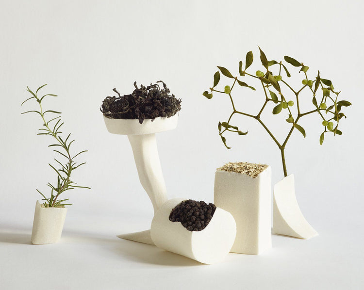 5 Waste-Free Holiday Ideas