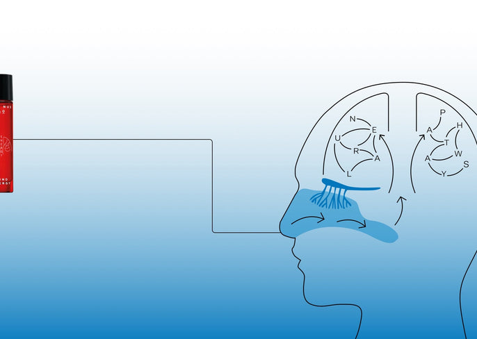 Does Functional Fragrance Work?