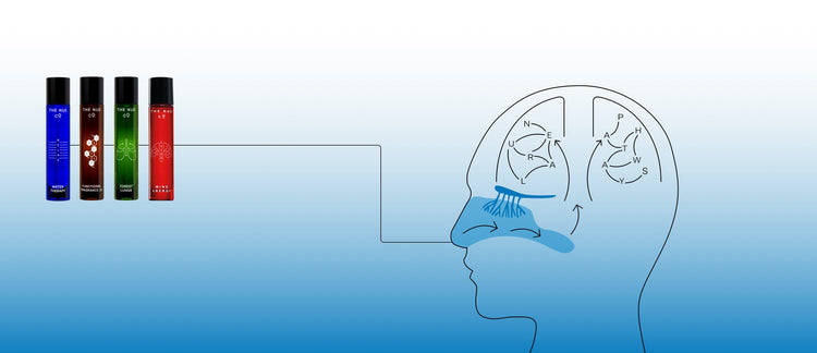 Does Functional Fragrance Work?