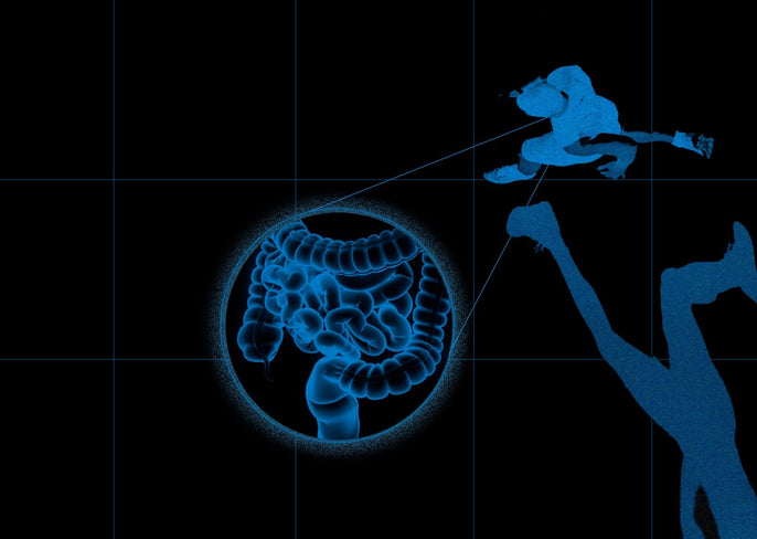 Does Gut Health Affect Performance?