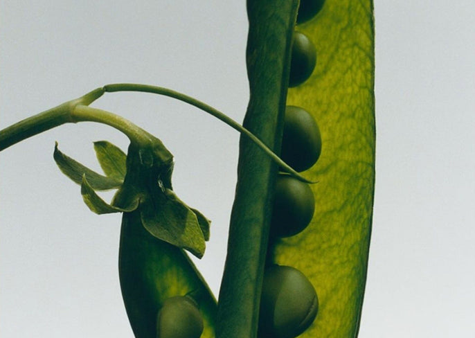 Does Food Really Have an Impact on Hair + Skin?