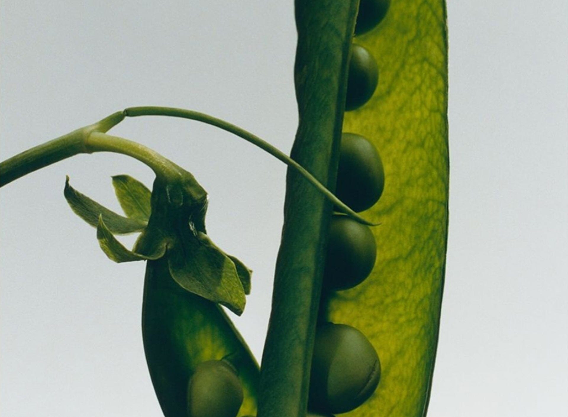 Does Food Really Have an Impact on Hair + Skin?