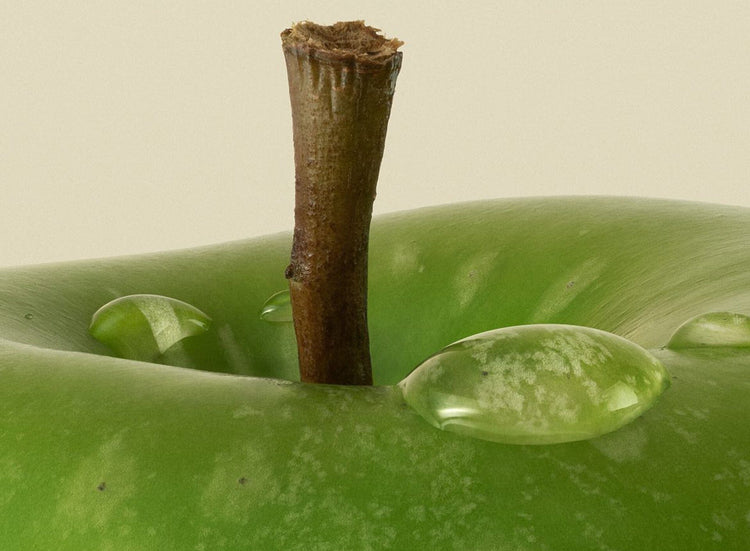 The Surprising Truth About How to Eat Well