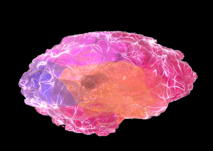 The Science of Scent