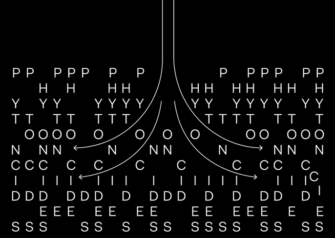 The science behind the calming effect of forests