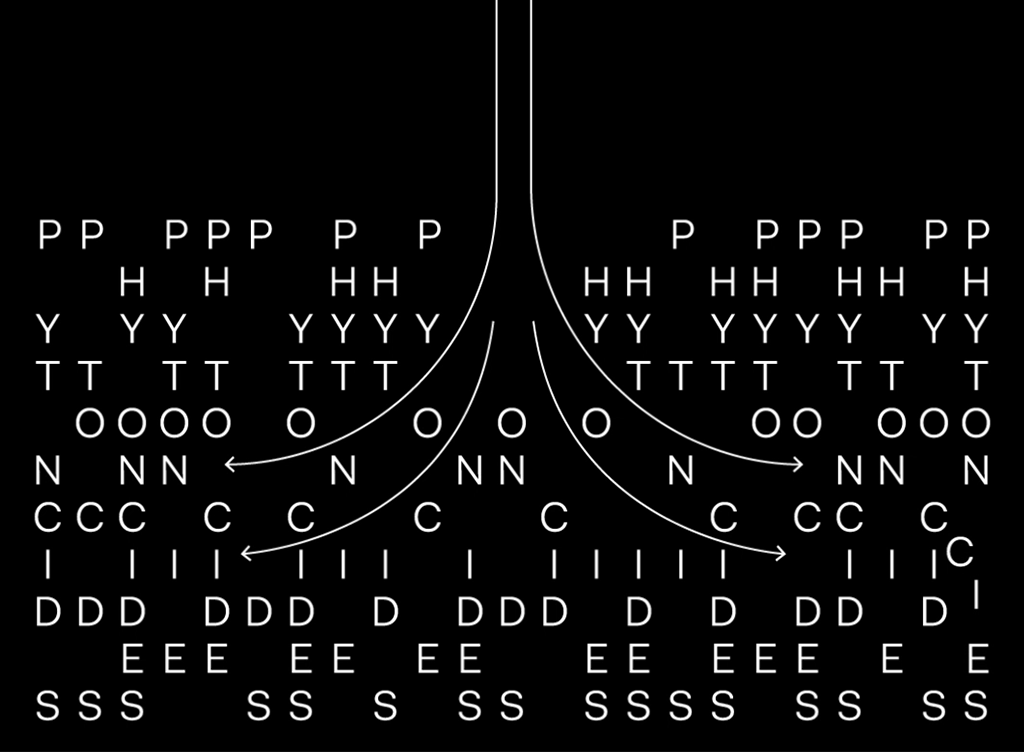 The science behind the calming effect of forests