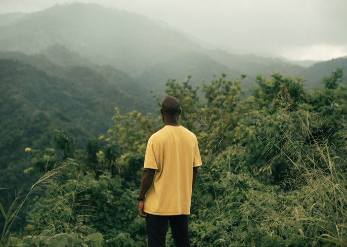 2020 in Retrospect: A Year At The Nue Co.