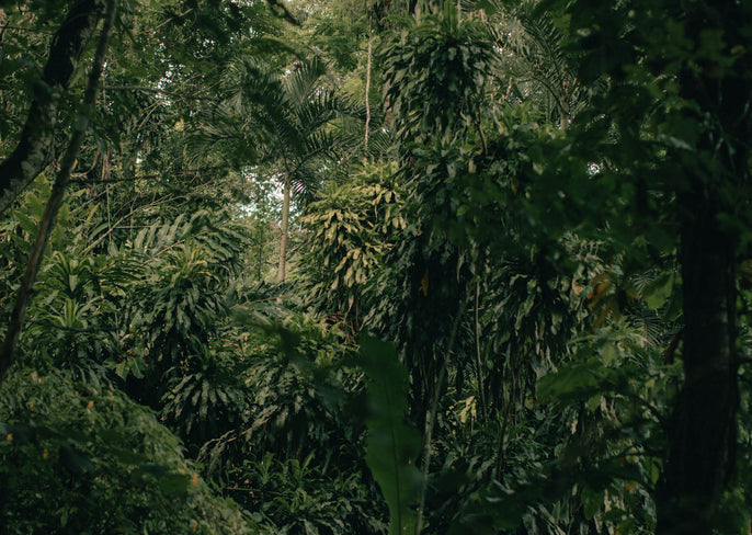 Turning sawdust into scent