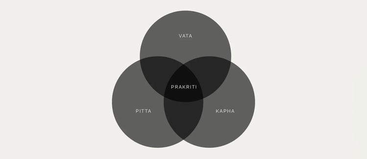 Ayurveda 101: A Beginner's Guide