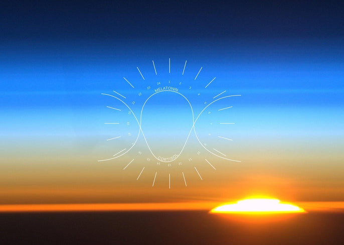 Can You Reset Your Circadian Rhythm?