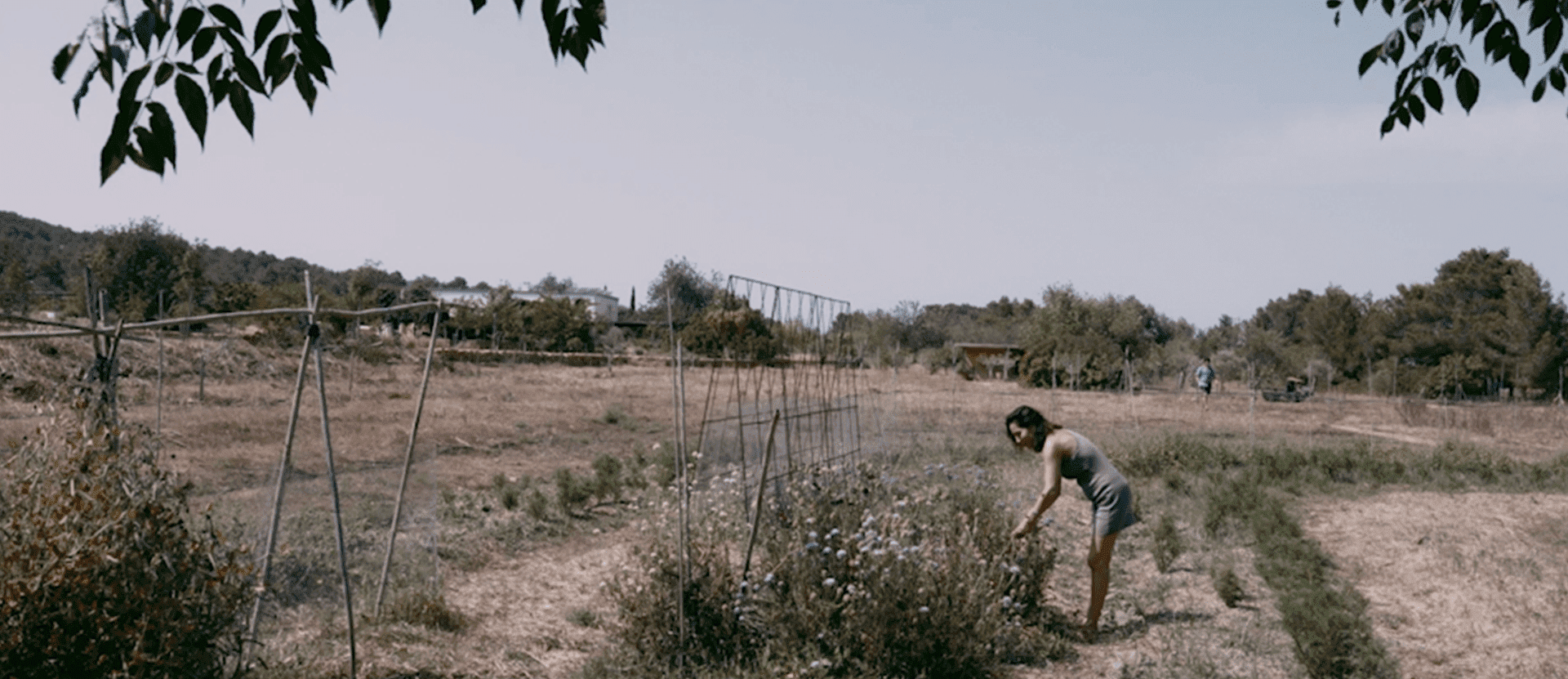 Embrace the Energy with Francesca Munizaga