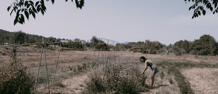 Embrace the Energy with Francesca Munizaga