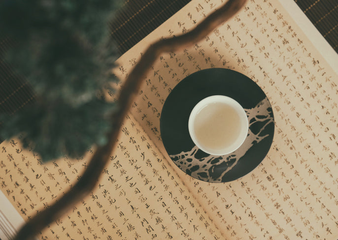 Immunity according to Traditional Chinese Medicine