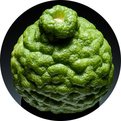 Bergamot