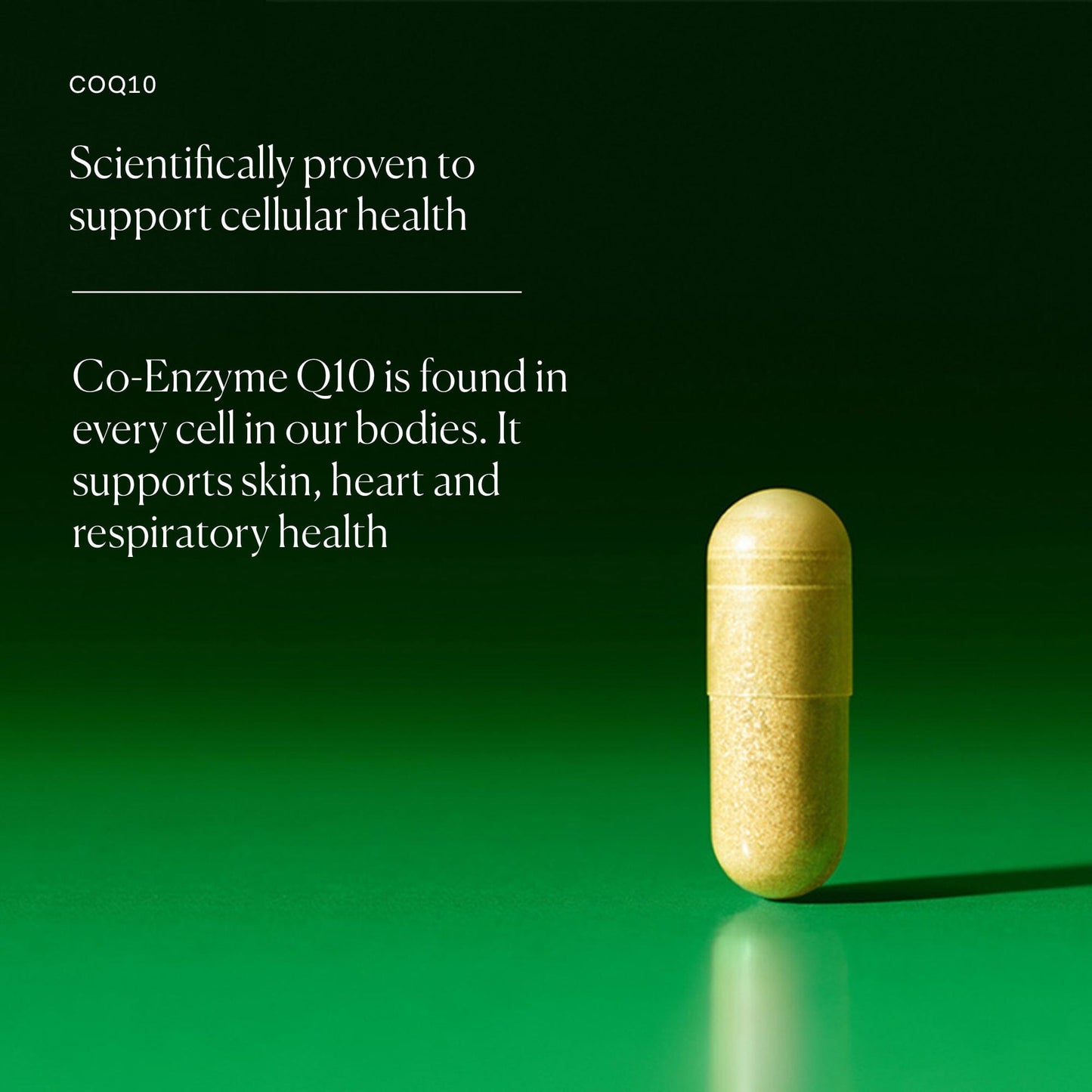COQ10 Single The Nue Co. 