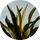 Smoky Mezcal