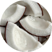Coconut Water